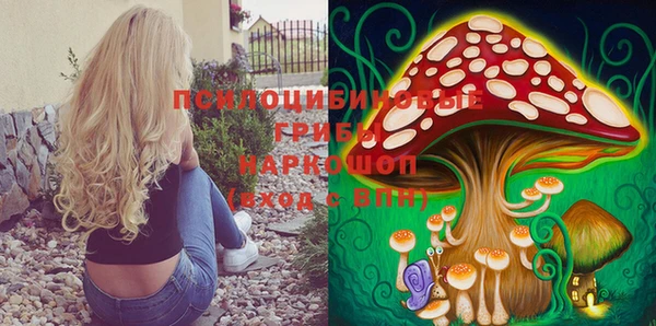 дживик Верея