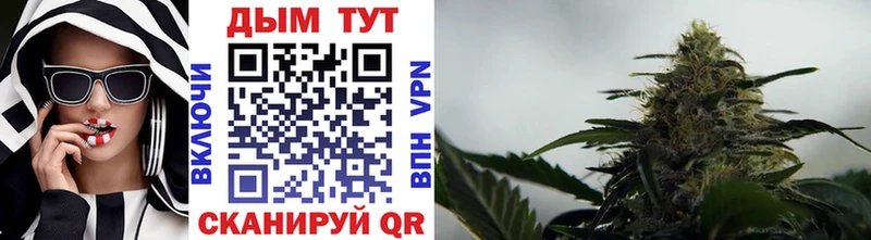 mega ссылка  Кимры  Канабис индика 
